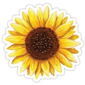 Meet your Posher, Hailey